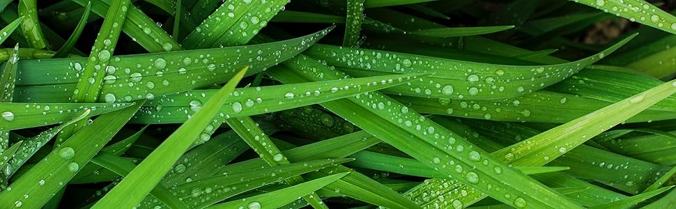 programmatore rubinetto due uscite irrigazione giardino giardino prato piante sym saneaplast