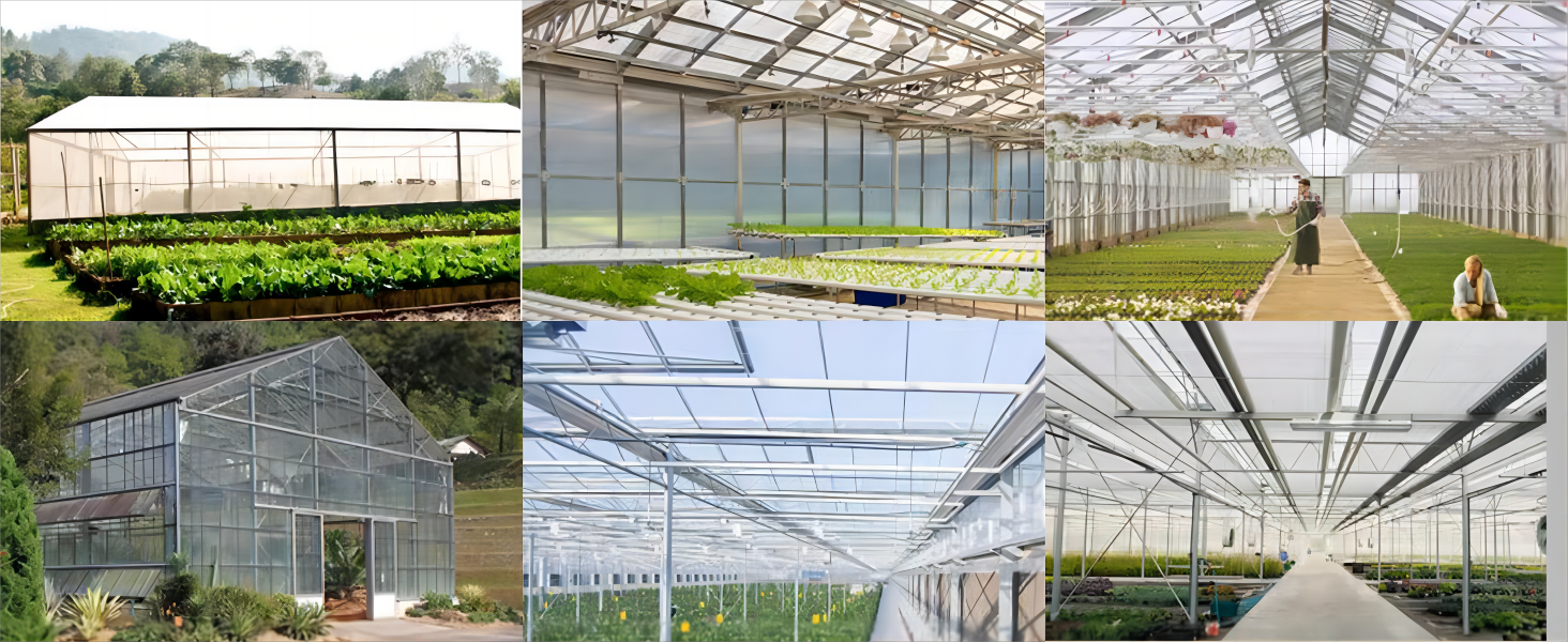 Telone Tarpaulin Trasparente