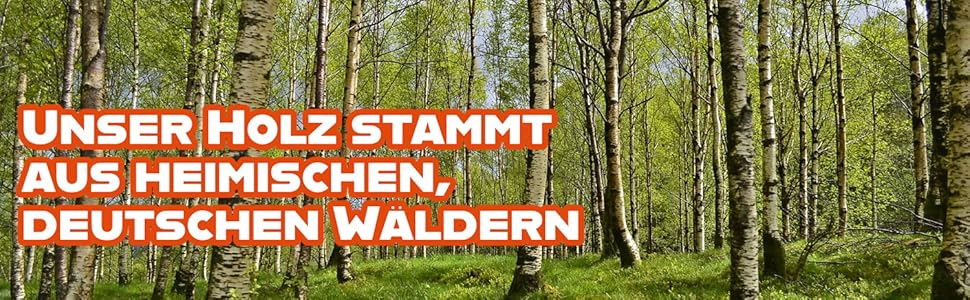 Legna da ardere in betulla, legna da ardere, camino, legna da ardere, legna da ardere per forno e camino