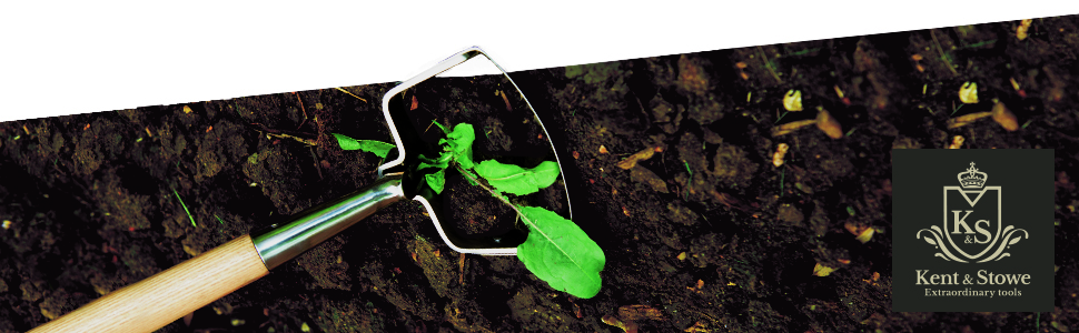 Kent and Stowe Header