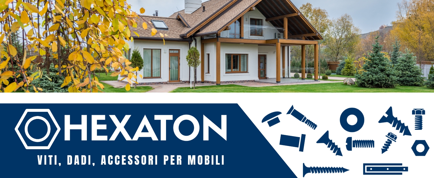 Logo Hexaton su sfondo blu a sinistra, dado esagonale accanto alla scritta HEXATON