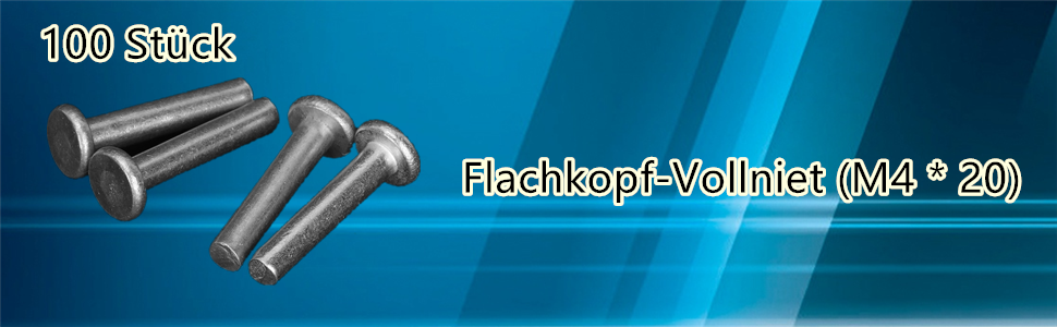 Flachkopf-Vollniet (M4 * 20)