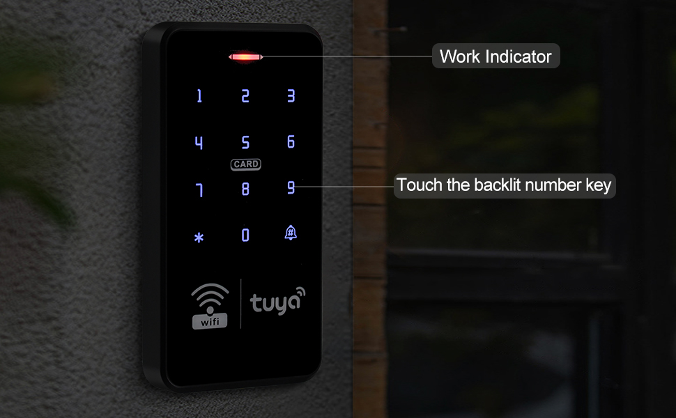 Kit sistema di controllo accessi S20tuya