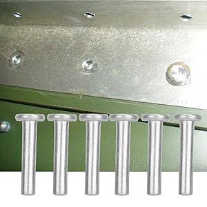 Flachkopf-Vollniet (M4 * 20)