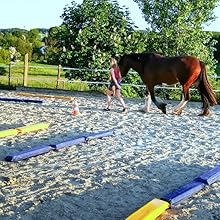 Articolo da equitazione