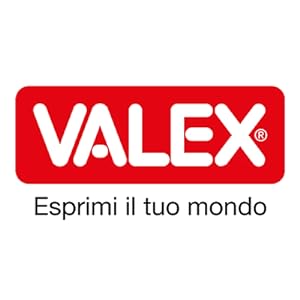 valex, logo