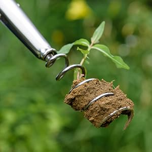 Kent & Stowe Estrattore per denti di leone: per rimuovere le piante con radici spesse 