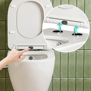 Rimozione rapida del coperchio del WC