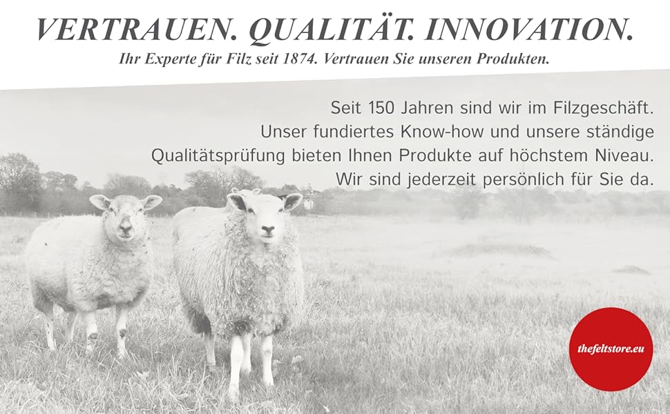 audace, qualità, innovazione, esperto in feltro, dal 1874, competenza fondata, test di qualità