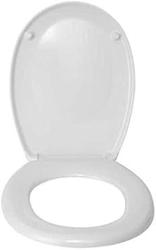 Wenko 19514100 Asse WC Bergamo Moss, Fissaggio in Acciaio Inossidabile, Materiale Plastico, 44,4 x 37,2 cm, Verde Muschio - Honorern