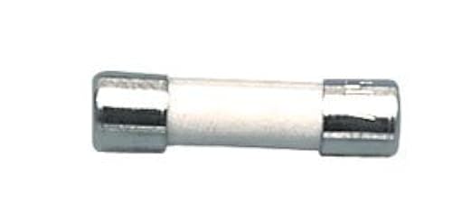 10 Amp T10AH 250 V 20 mm x 5 mm fusibile ceramica x 2 da electrosmart @refno@® - Honorern