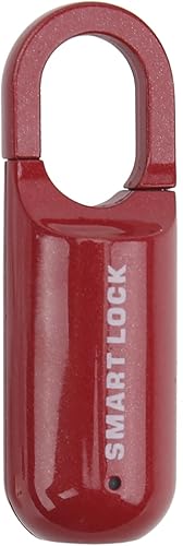 Lucchetto con Impronta Digitale, 10 Set Lucchetto con Impronta Digitale in Lega di Zinco Antifurto Senza Chiave Ricaricabile Tramite USB con Indicatore Luminoso a LED, Sblocco di - Honorern