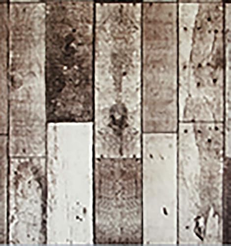 TAPPETO SCHIUMATO SENZA FORI 65X180 - PARQUET - Honorern