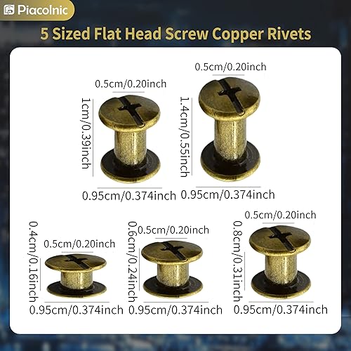 100 Set di Viti Chicago per Rilegatura, Kit di Rivetti a Vite 4/6/8/10/14 mm per Cintura in Pelle, Vite di Rilegatura Rivetti Chiusure a Bottone Rivetti Chicago per Cuoio Bottoni Pelle Fai Da Te - Honorern