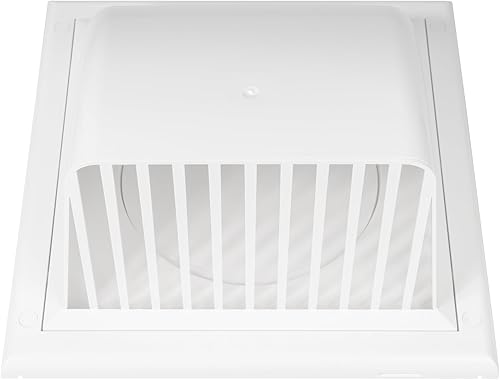 Awenta Griglia esterna a gravità da 100 mm, con persiane, per cappa di scarico, con alette di ventilazione, con alette - Honorern