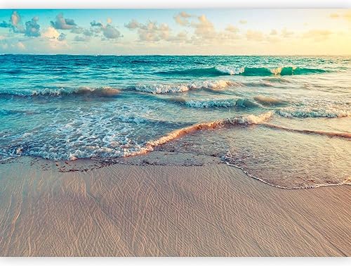 Carta da parati Mare Spiaggia 300x210 cm Fotomurali in TNT Murale alla moda Decorazione da Muro XXL Poster Gigante Design Carta per pareti Ciel Uccelli Paesaggio Natura b-B-10023-a-a - Honorern