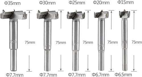 10 Pz. Punte Forstner Legno in Lega da 15mm a 60mm per Lavorazione di Legno, con Scatola - Honorern