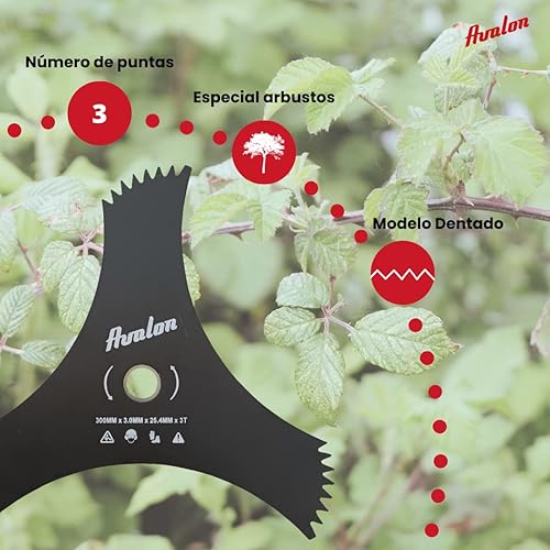 Disco a 3 Punte dentate Universale 300 x 25,4 x 3 mm per decespugliatore, Lama per Tagliare Erba densa, Acciaio da 3 mm - Honorern