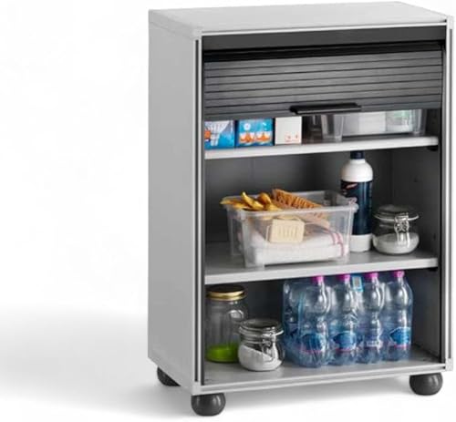 Briconess.com Armadio modulare per Garage in PVC Resina con serranda Scorrevole Verticale 2 Ripiani Ideale Anche per Esterni Dimensioni 62,5x35x84,5 cm - Honorern