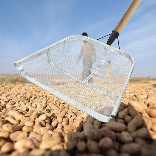 Pala Per Setaccio Per Cereali E Terreno | Pala Ergonomica Multifunzionale Per Agricoltura | Setaccio Per Terreno In Acciaio Inox | Colino Per Raccolta | Strumento Per La Raccolta Del Filtro - Honorern