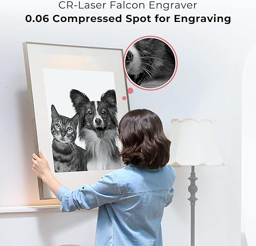 Creality Macchina per incisione laser da 10 W, 415 x 400 mm, incisione laser fai da te, 10000 mm/min, incisione laser per acciaio inox, legno, acrilico, incisione in pelle - Honorern