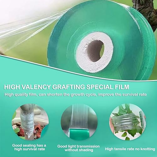 Nastro autoadesivo biodegradabile per innesto, 2 rotoli da 3 cm x 100 m, pellicola trasparente per riparazione piante per piantine di alberi, attrezzi da giardino estensibile con protezione - Honorern