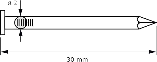 Chiodo in acciaio con testa in ottone 2.0 X 30 mm, chiodi confezione da 100 pezzi - Honorern