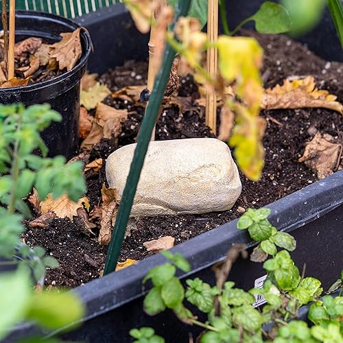 Nascondiglio per chiavi da esterno, scomparto extra large 110 x 48 x 45 mm, nascondiglio segreto per chiavi di riserva, geocaching, decorazione da giardino in finta pietra, deposito per chiavi - Honorern