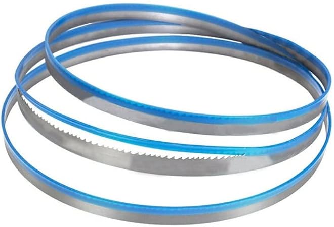 Lame per Sega a Nastro, Lama per Sega a Nabida 1 Pezzo Mm 1510X13X0,65Mm 24Tpi Utensile per la Lavorazione Del Legno per il Taglio Dei Metalli/24 Tpi/0.65Mm - Honorern