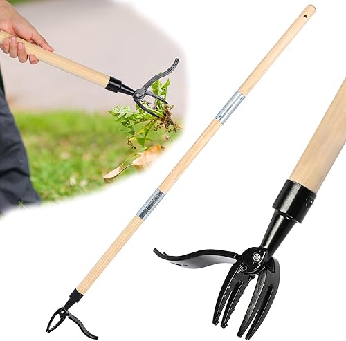 Estirpatore Erbacce da Giardino, Estrattore di Erbacce Staccabile con Manici in Legno, Materiale in Lega di Alluminio, Estirpatore Manuale per Giardino, Prato, Estrattore Manuale per Rimuovere le Erba - Honorern
