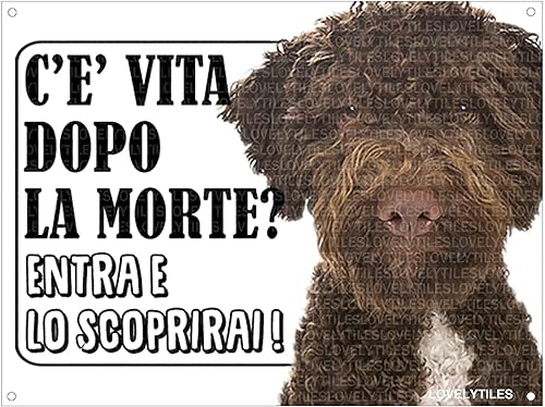 Lagotto ATTENTI al Cane Esiste LA Vita Dopo LA Morte? Targa Cartello INSEGNA (Metallo) - Honorern