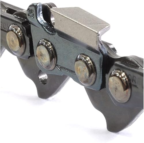 Oregon PowerCut 22LPX Catena per Motosega con Passo da .325', Calibro .063' (1,6 mm) con Taglienti Full Chisel, Barra da 40 cm (16') e 67 Maglie, Compatibile con AEG e Stihl - Honorern