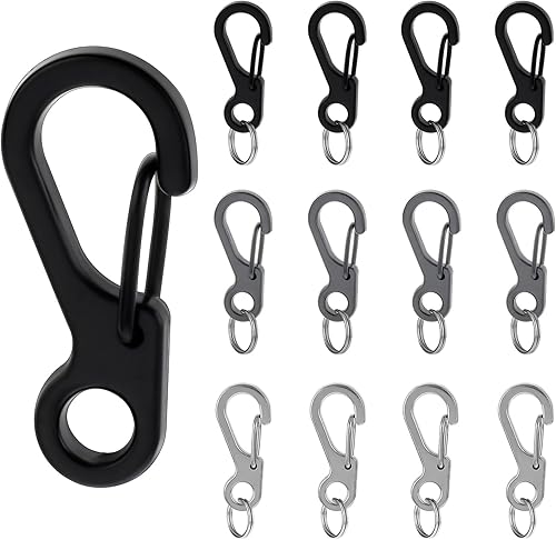 Confezione da 12 piccoli moschettoni in metallo a molla, ganci multiuso mini paracord da appendere per zaino, cinghia per fotocamera, torcia, campeggio, escursionismo, portachiavi accessori - Honorern