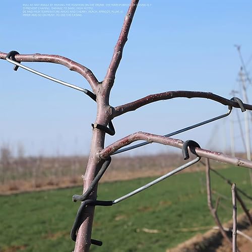 Divaricatore per Rami d'Albero - Strumento 10X per Frutteti con Estensione Ramificazioni - Attrezzo Curvabile 36 cm con Guaina Protettiva per Raddrizzare Giardino Agricoltura Cura del Terreno - Honorern