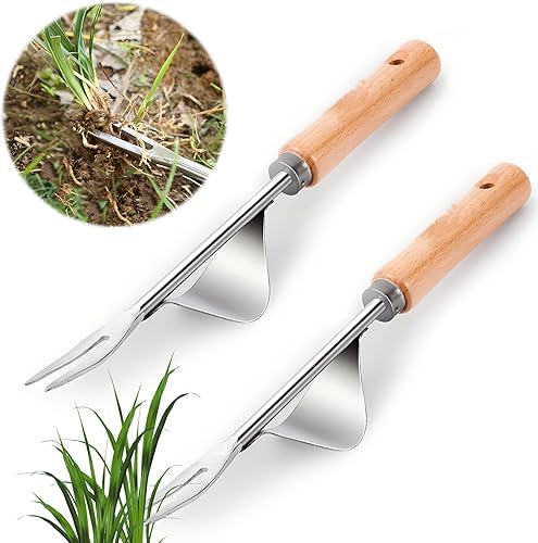 2 Pezzi Estrattore per Giardino, Strigliatori con Manico in Legno Naturale, Garden estrattore Erbacce sarchiatrice Manuale per Scavare, estirpare, smuovere e allentare Il Terreno - Honorern