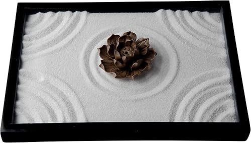 Il kit del mini giardino Zen di loto del marchio ICNBUYS regala il rastrello, lo strumento Pincha e il pennello di bamb¨´ - Honorern