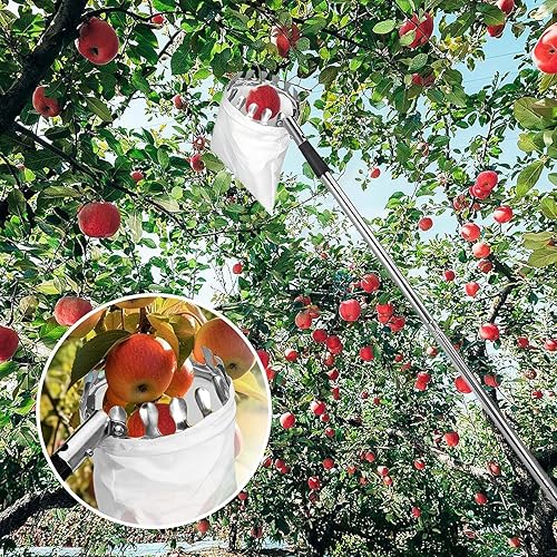 Raccoglifrutta Per Alberi Da Frutto - Racchiusore Frutta Regolabile Con Asta Estendibile,Attrezzo Regolabile In Acciaio Inox Per Raccogliere Avocado Limoni Pere E Mango - Honorern