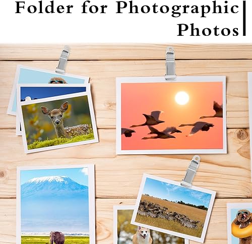 Confezione da 12 mini clip in metallo, 4 x 1.3 cm, piccole clip a molla robuste, clip a coccodrillo, clip per tende, mollette per cucina, casa, ufficio e scuola per fili, foto, tende - Honorern