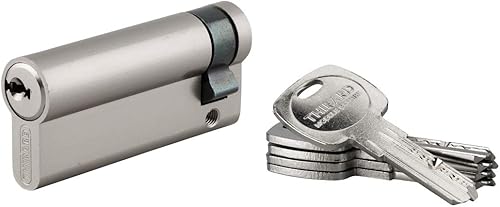Mezzo Cilindro europeo Trafic 6, 60x10mm, nichel, antiperforazione, antirottura, 5 chiavi piatte reversibili- THIRARD - Honorern