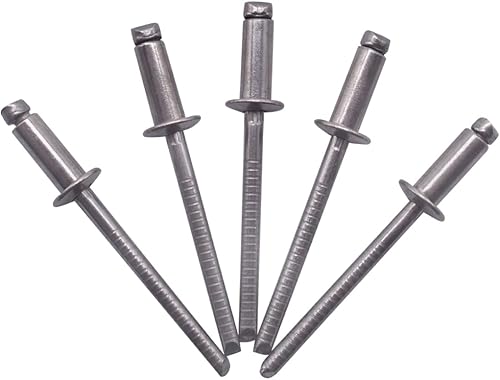 SKIR'CO (100 pezzi) Rivetti ciechi in acciaio inox 4,0 x 14 mm, testa a cupola, rivetti pop, DIN 7337, rivetto A2, mandrino scanalato - Honorern