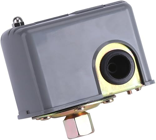 40-60 PSI Interruttore di controllo della pressione della pompa dell'acqua Doppio palo regolabile per pompa d'acqua da giardino a iniezione autoadescante - Honorern