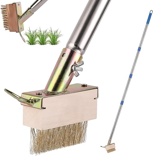 Spazzola per erbacce con manico lungo 152,4 cm, spazzola manuale per fessure, diserbante per crepe, rimozione muschio in acciaio inox, strumento per la pulizia di terrazze, pavimentazione, - Honorern