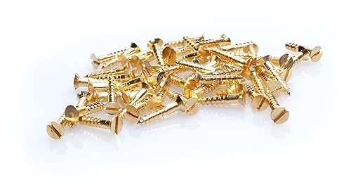 100 viti per legno MINI, DIN 97 (testa svasata con fessura), in ottone, 2 x 8 mm, per modellismo o restauro - Honorern