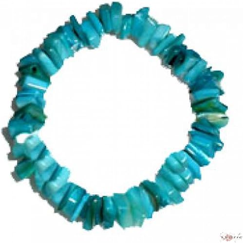 21-1 Extractor Interior - Honorern