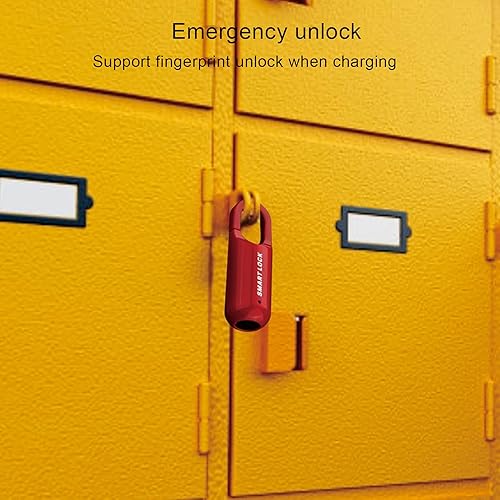 Lucchetto con Impronta Digitale, 10 Set Lucchetto con Impronta Digitale in Lega di Zinco Antifurto Senza Chiave Ricaricabile Tramite USB con Indicatore Luminoso a LED, Sblocco di - Honorern