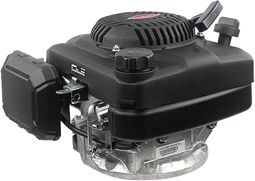 LONCIN 6,5 HP Albero 25 X 80 196 CC Motore 4 Tempi Verticale Rasaerba - Honorern