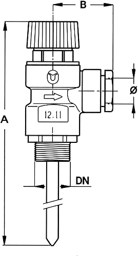VALVOLA SICUREZZA PER PRESSIONE E TEMPERATURA 3/4' 6KG/CM2 90ºC - Honorern