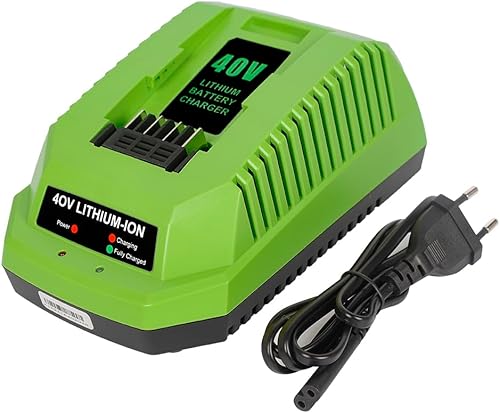 Batteria di ricambio 40 V 2 A compatibile con Greenworks 40 V batteria agli ioni di litio 29482 29962 29472 290139 299302 BAF702 L-300 BAF704 BAF705 40 V G-MAX Power Tools 29252 20202 262 - Honorern