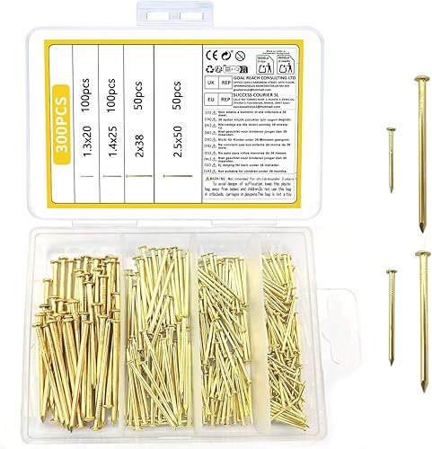 Set di 300 Chiodi per Pareti, Chiodi Testa Rotonda in Legno, Chiodi per Appendere Quadri, Chiodi per Muro, Assortimento di Chiodi per Fissaggio Cornici, Lavorazione del Legno, Specchi con Cornice - Honorern