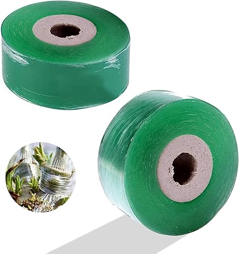 Nastro per rifinitura, 2 pezzi, nastro di finitura, elastico, nastro di finitura, elastico, biodegradabile, anti-umidità, trasparente, strumenti da uomo (verde 2 cm) - Honorern
